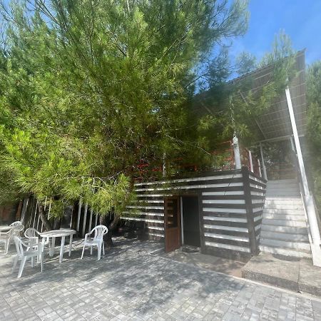Mini-Hotel Forest Club Pitsunda Dış mekan fotoğraf