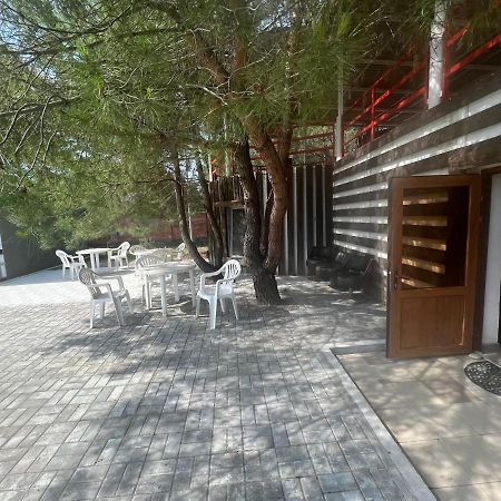 Mini-Hotel Forest Club Pitsunda Dış mekan fotoğraf