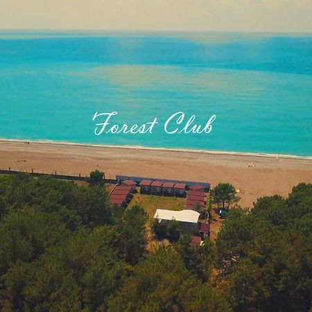 Mini-Hotel Forest Club Pitsunda Dış mekan fotoğraf