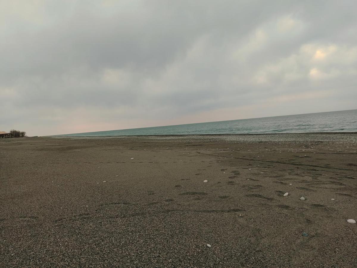 Mini-Hotel Forest Club Pitsunda Dış mekan fotoğraf
