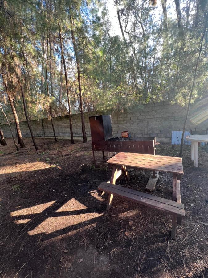 Mini-Hotel Forest Club Pitsunda Dış mekan fotoğraf