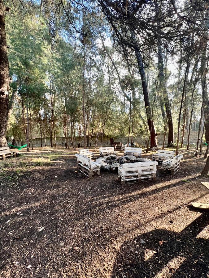 Mini-Hotel Forest Club Pitsunda Dış mekan fotoğraf