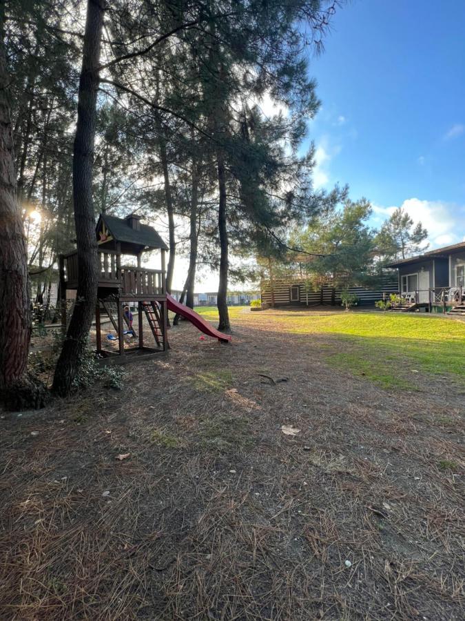 Mini-Hotel Forest Club Pitsunda Dış mekan fotoğraf