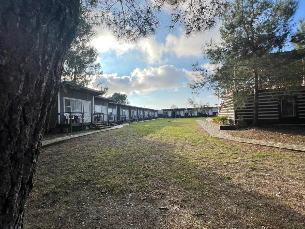 Mini-Hotel Forest Club Pitsunda Dış mekan fotoğraf