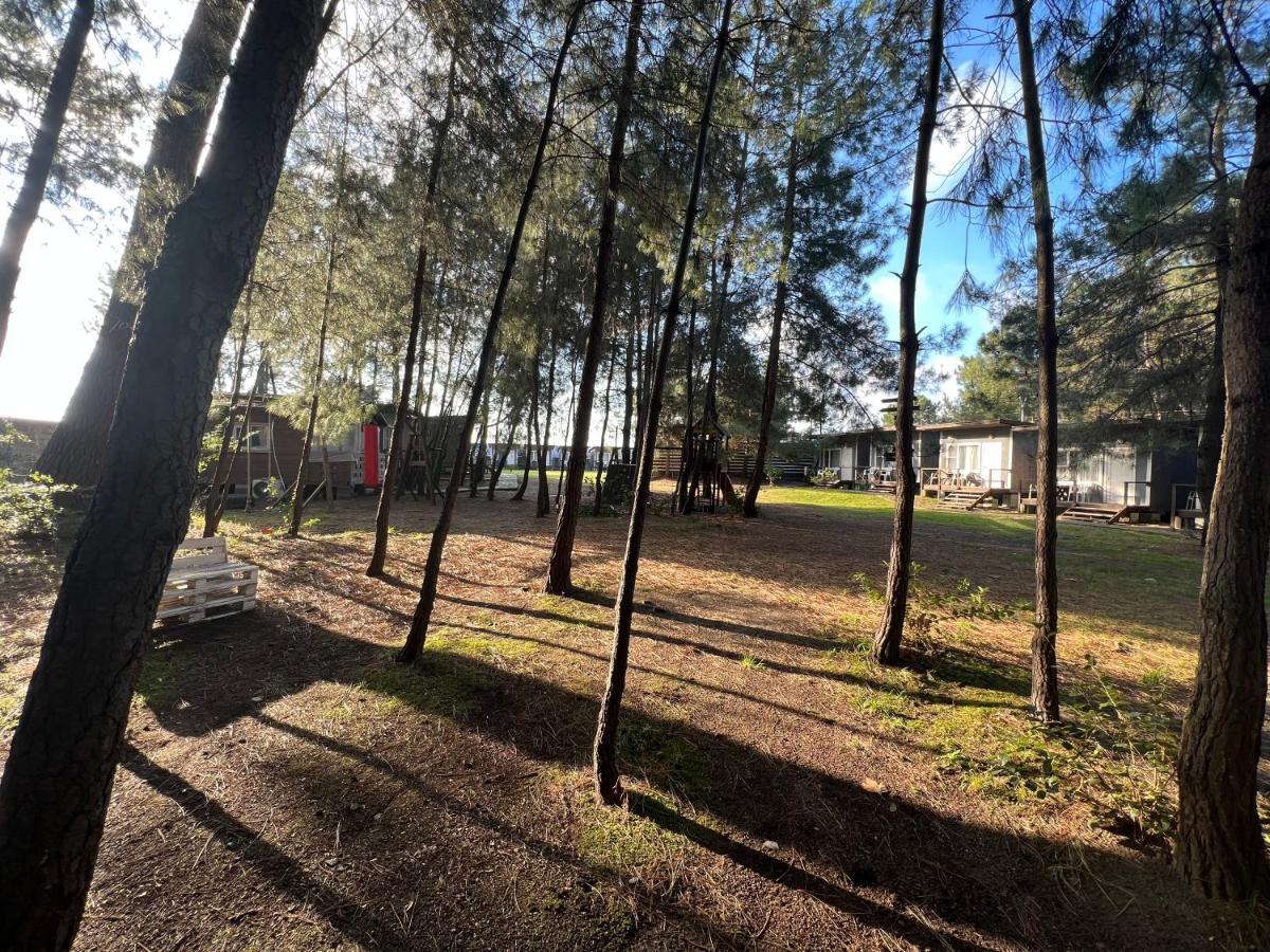 Mini-Hotel Forest Club Pitsunda Dış mekan fotoğraf