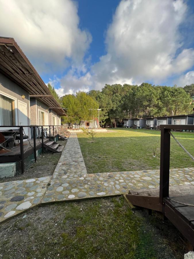 Mini-Hotel Forest Club Pitsunda Dış mekan fotoğraf