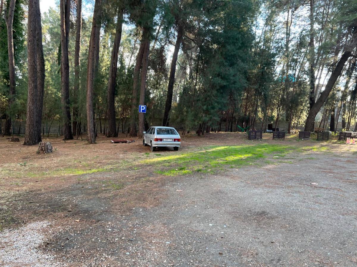 Mini-Hotel Forest Club Pitsunda Dış mekan fotoğraf