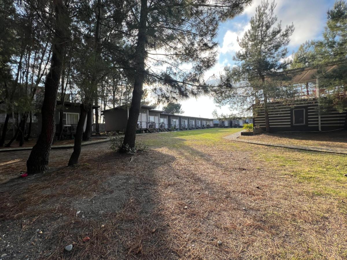 Mini-Hotel Forest Club Pitsunda Dış mekan fotoğraf