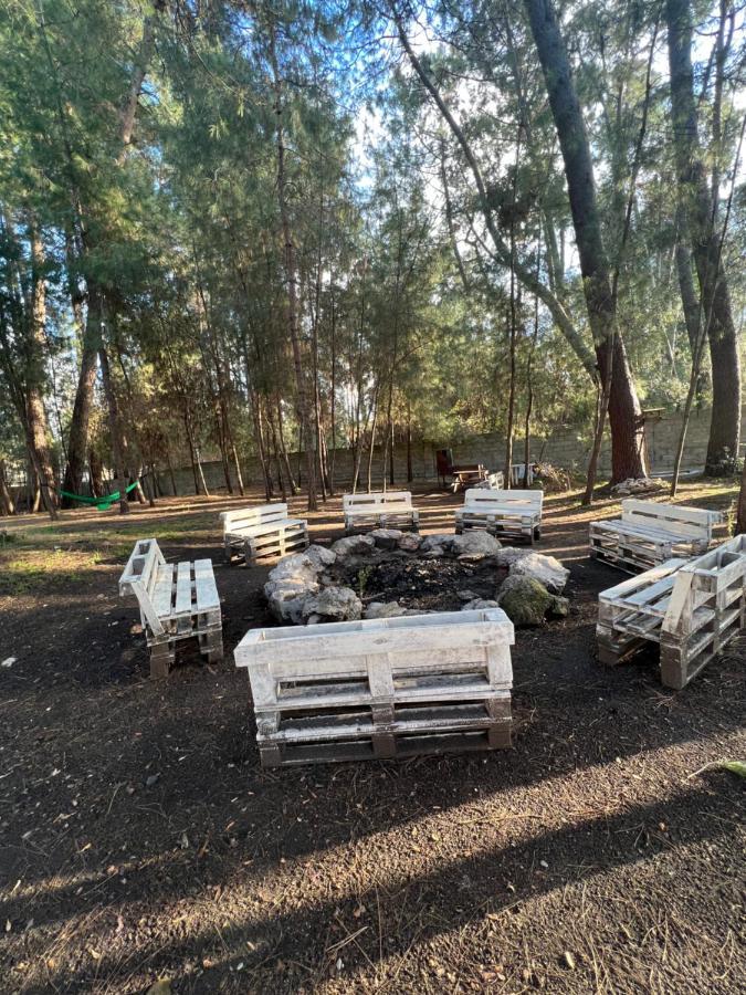 Mini-Hotel Forest Club Pitsunda Dış mekan fotoğraf