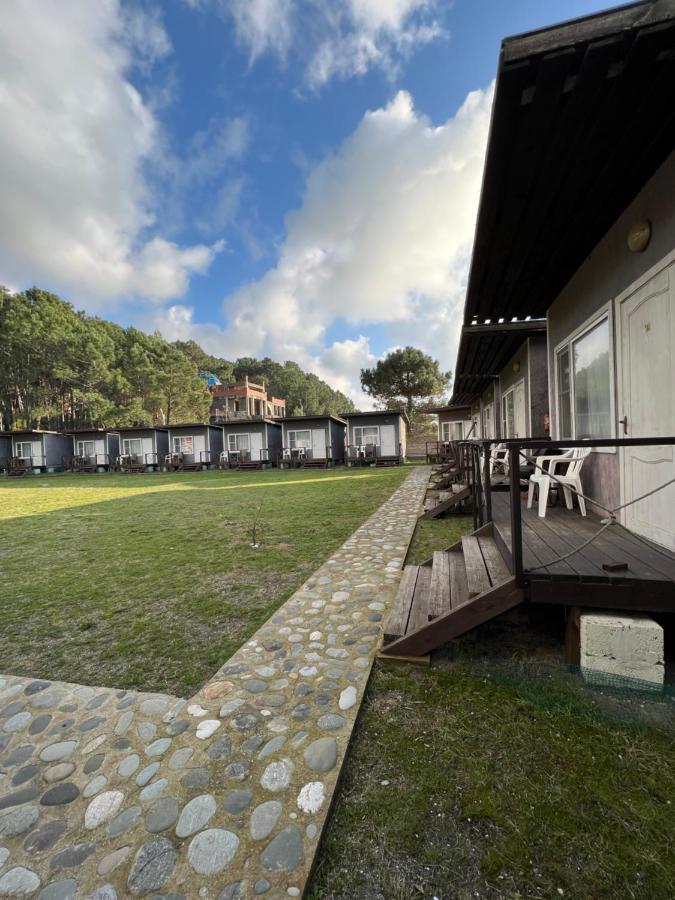 Mini-Hotel Forest Club Pitsunda Dış mekan fotoğraf