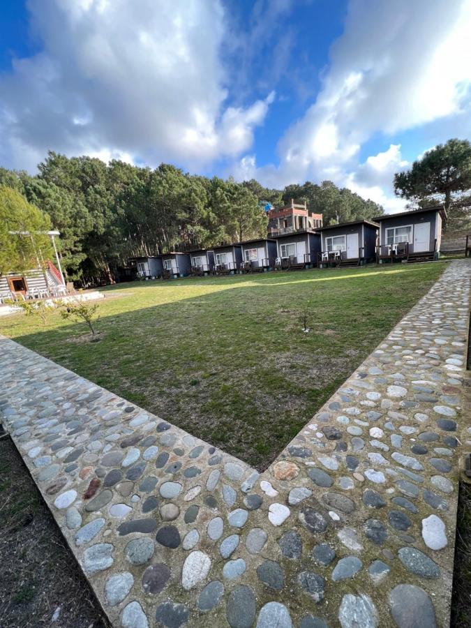 Mini-Hotel Forest Club Pitsunda Dış mekan fotoğraf