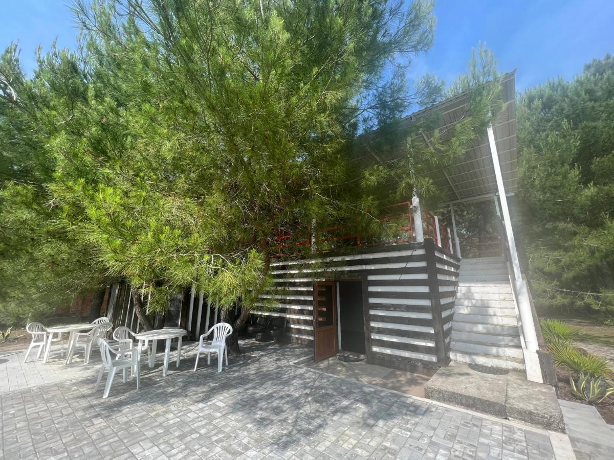 Mini-Hotel Forest Club Pitsunda Dış mekan fotoğraf