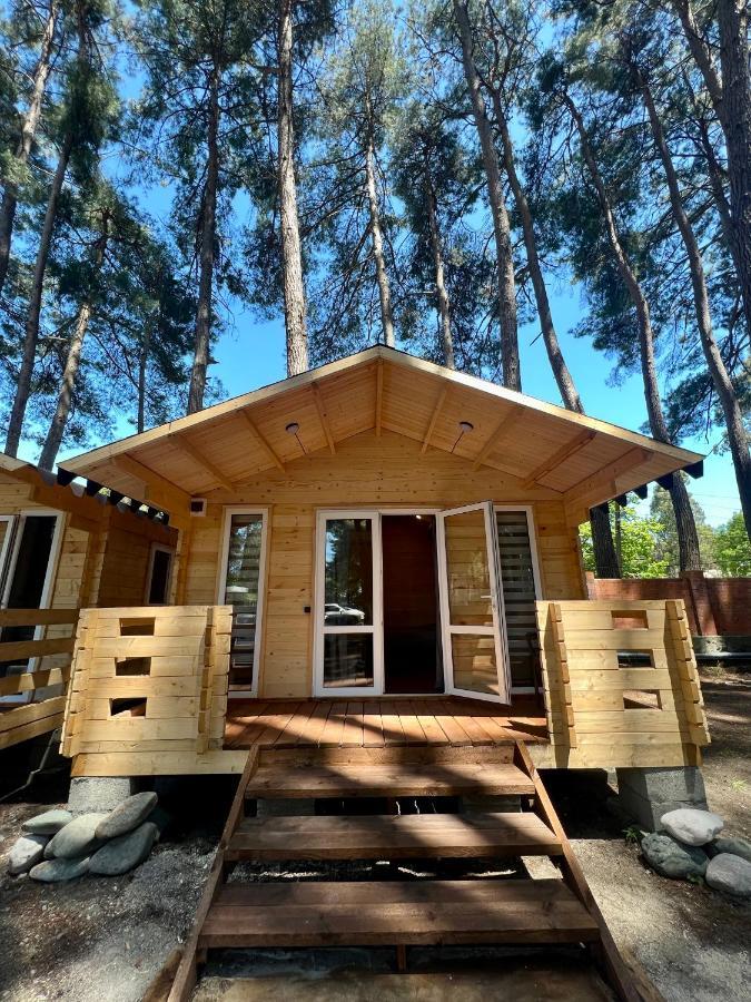 Mini-Hotel Forest Club Pitsunda Dış mekan fotoğraf