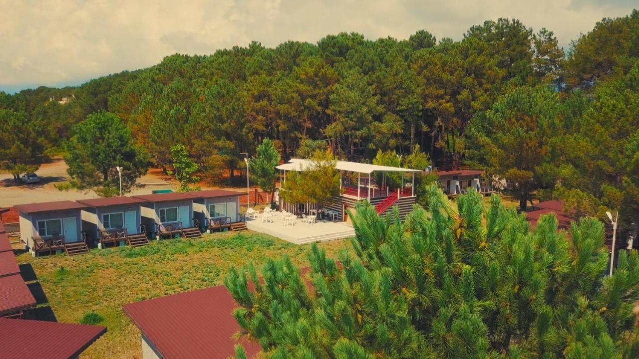Mini-Hotel Forest Club Pitsunda Dış mekan fotoğraf