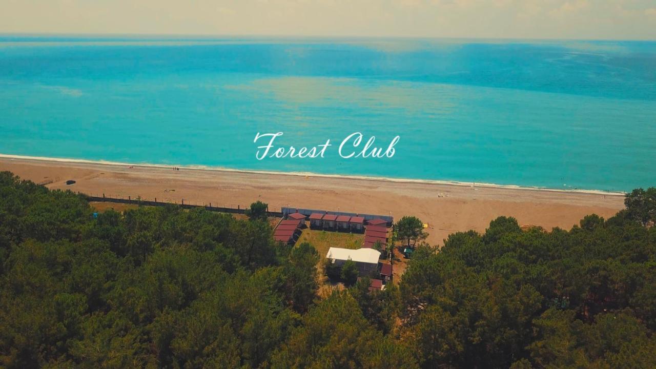 Mini-Hotel Forest Club Pitsunda Dış mekan fotoğraf