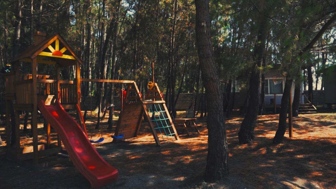 Mini-Hotel Forest Club Pitsunda Dış mekan fotoğraf